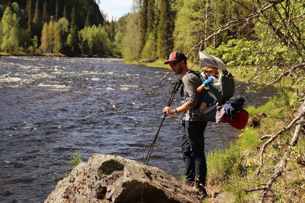 Trek ours Laponie Bébé Randonnée