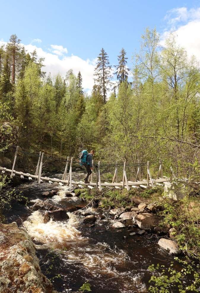 Trek ours Laponie Bébé Pont Suspendu