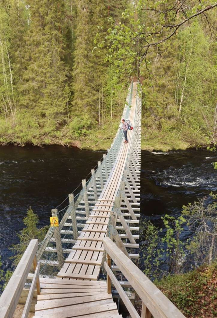 Trek ours Laponie Bébé Pont suspendu