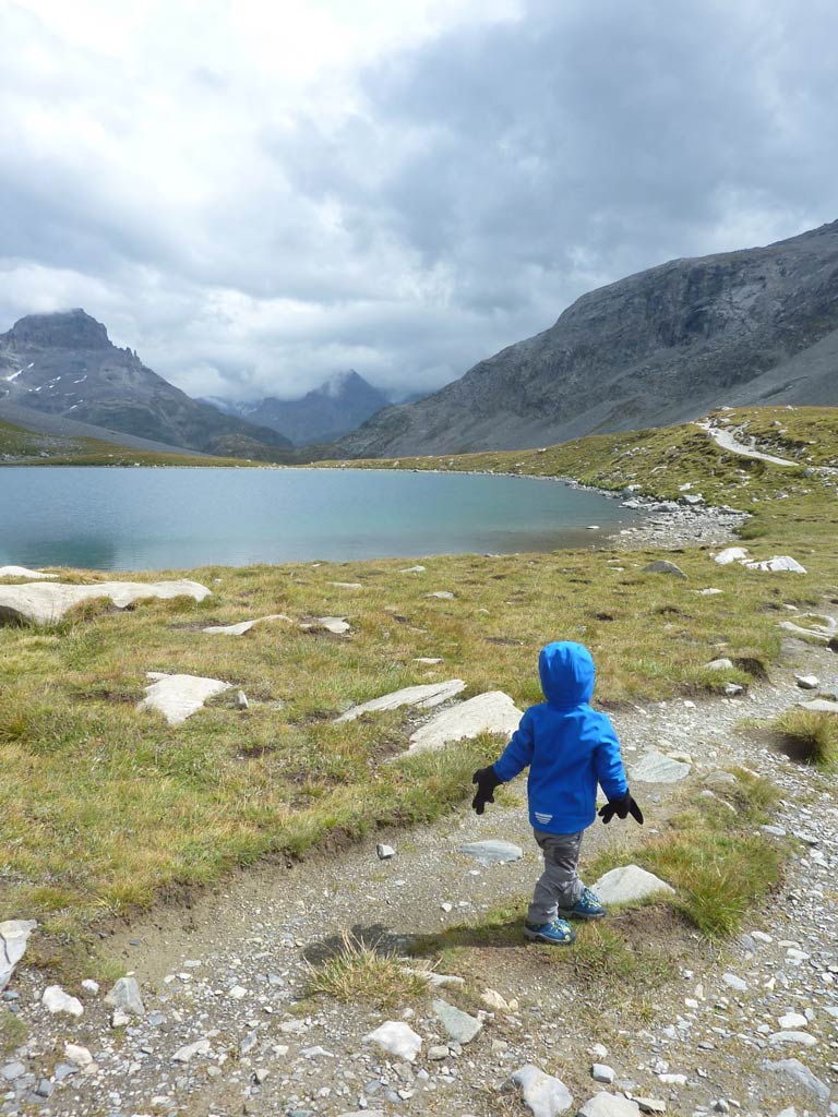 5 jours en Vanoise avec un âne - Jules en randonnée