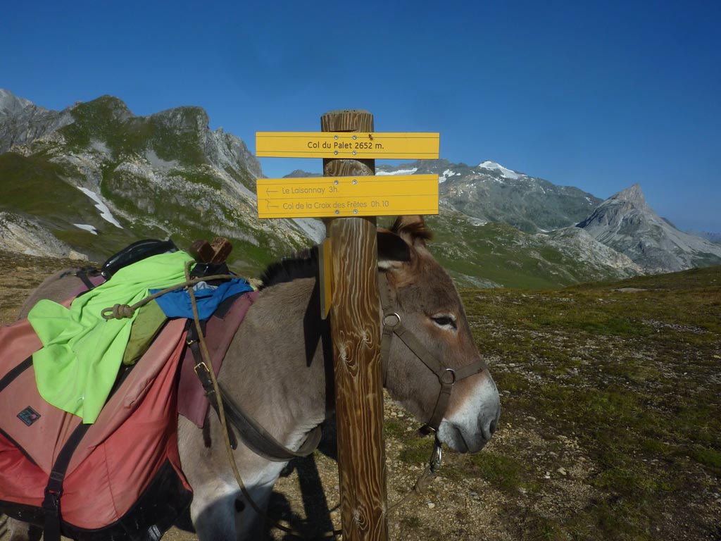 5 jours en Vanoise avec un âne - Col du palet