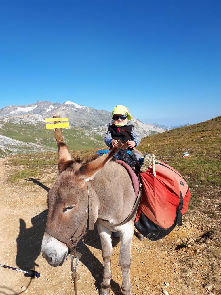 5 jours en Vanoise avec un âne - Clément et l'âne Zébulon