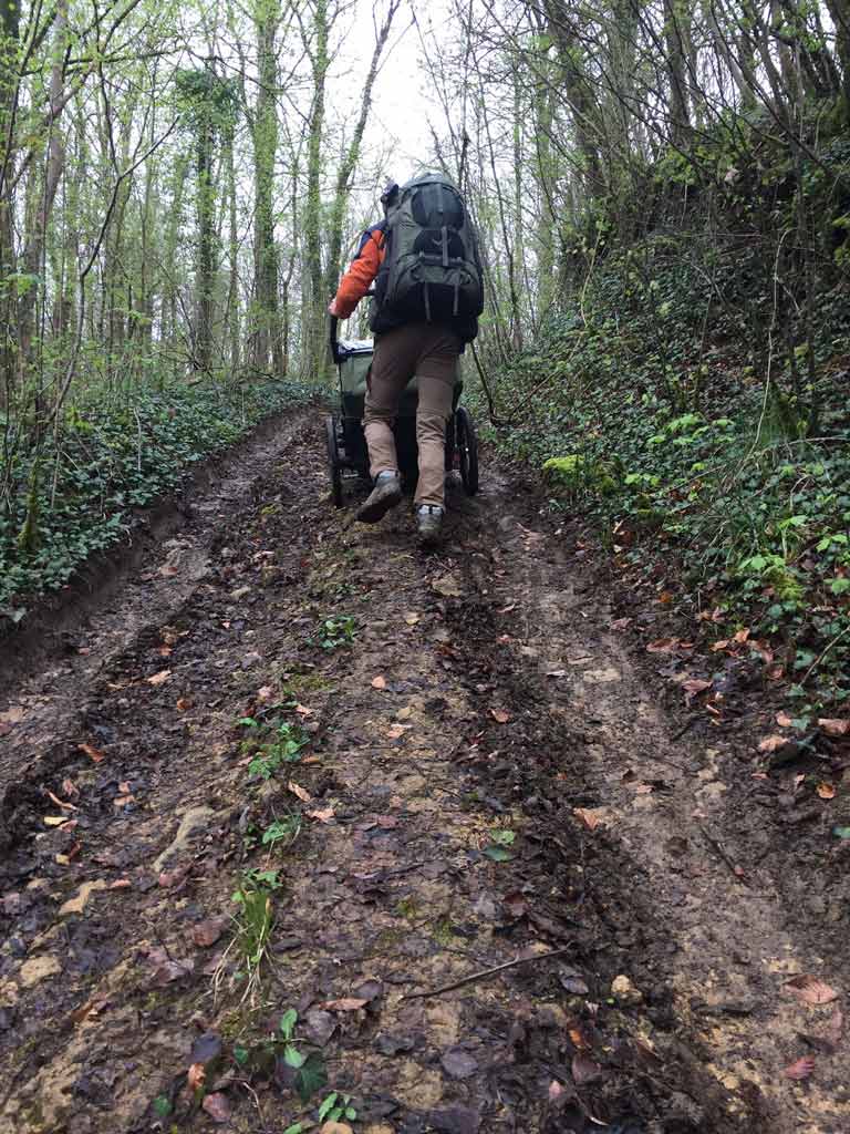 Traversée des Ardennes et de l'Argonne à pied - Montée dans la forêt