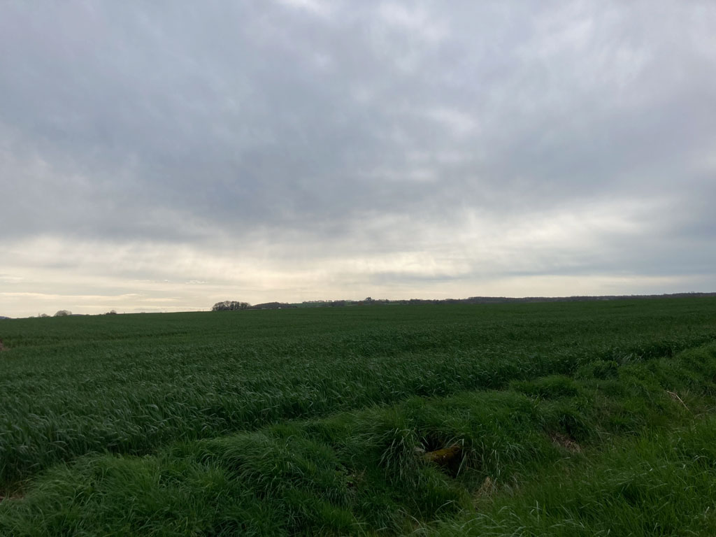 Traversée des Ardennes et de l'Argonne à pied - Champ