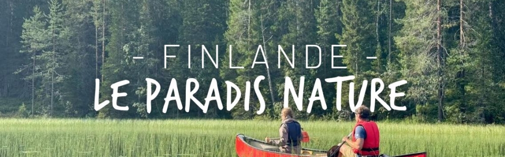 Finlande en famille en été : la vraie nature sauvage