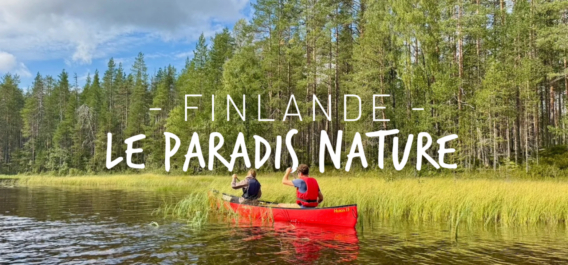 Finlande en famille en été : la vraie nature sauvage