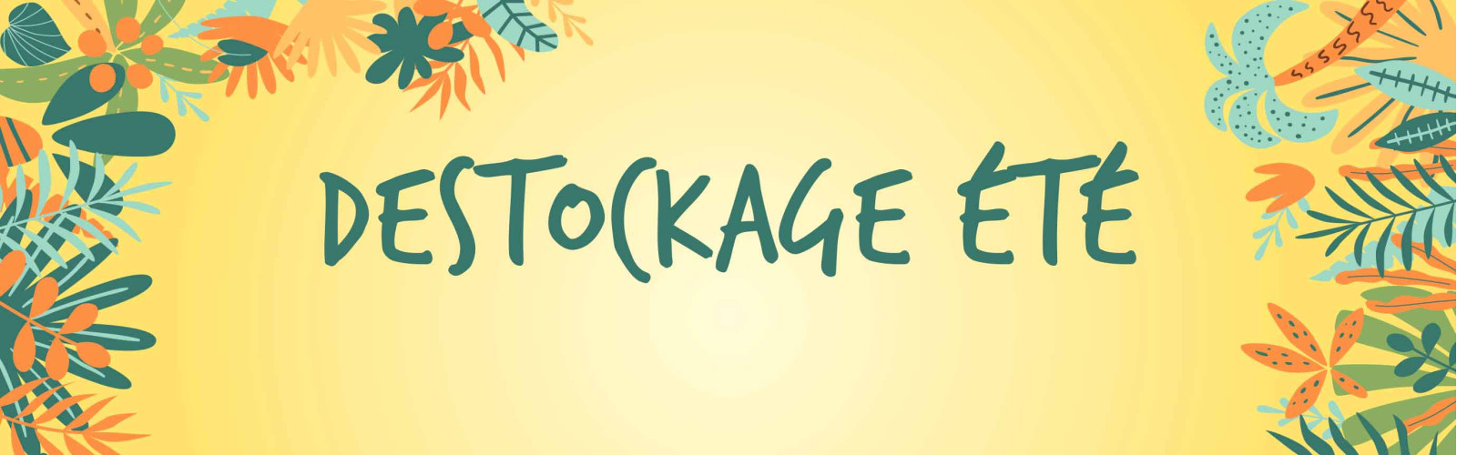 Les Petits Baroudeurs : toutes nos promotions !