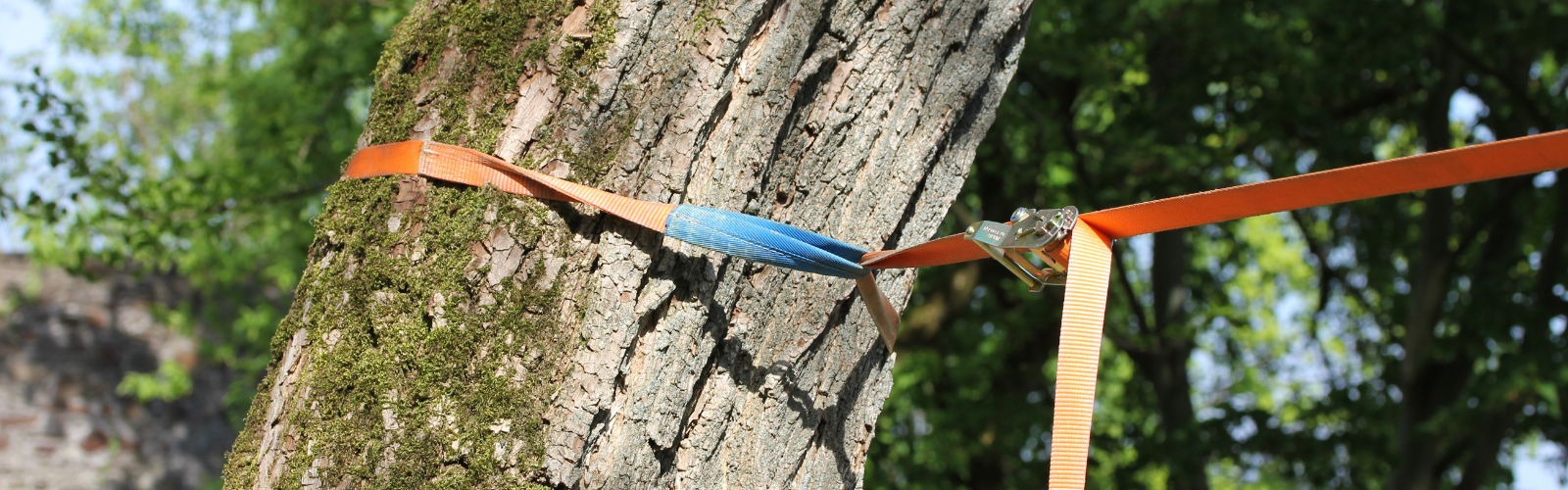 Slackline enfant et adultes débutants