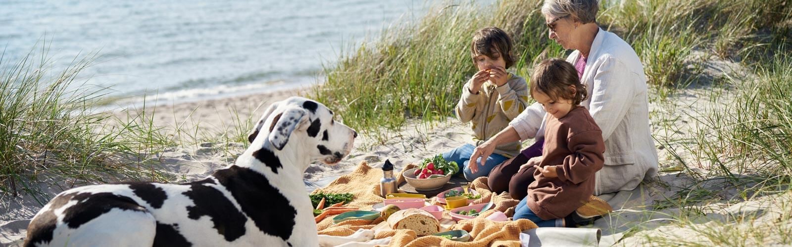 Accessoires de pique-nique pour les enfants et les bébés