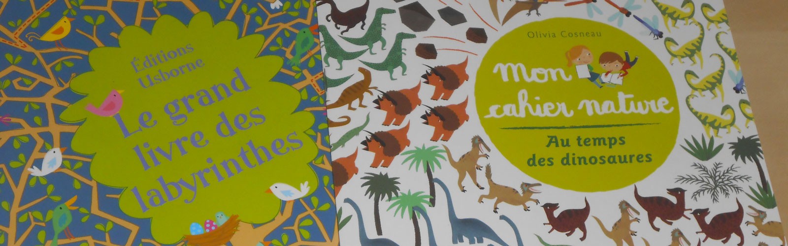 Amaterra - Livres jeux pour enfants