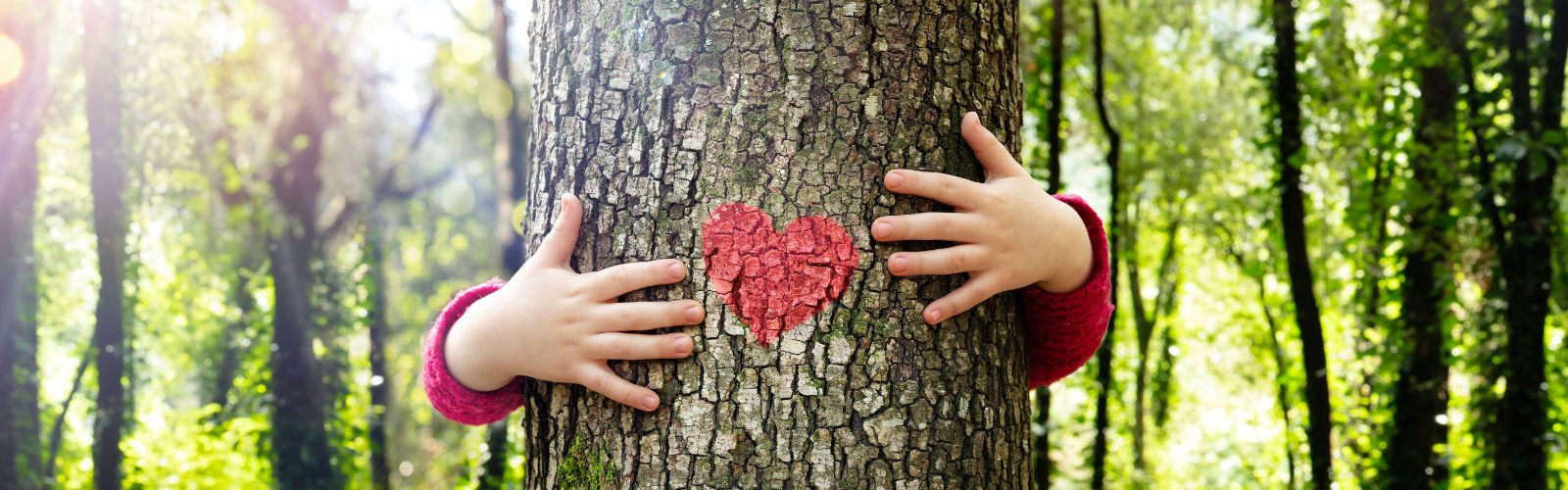 Eveiller les enfants à l'écologie : notre sélection