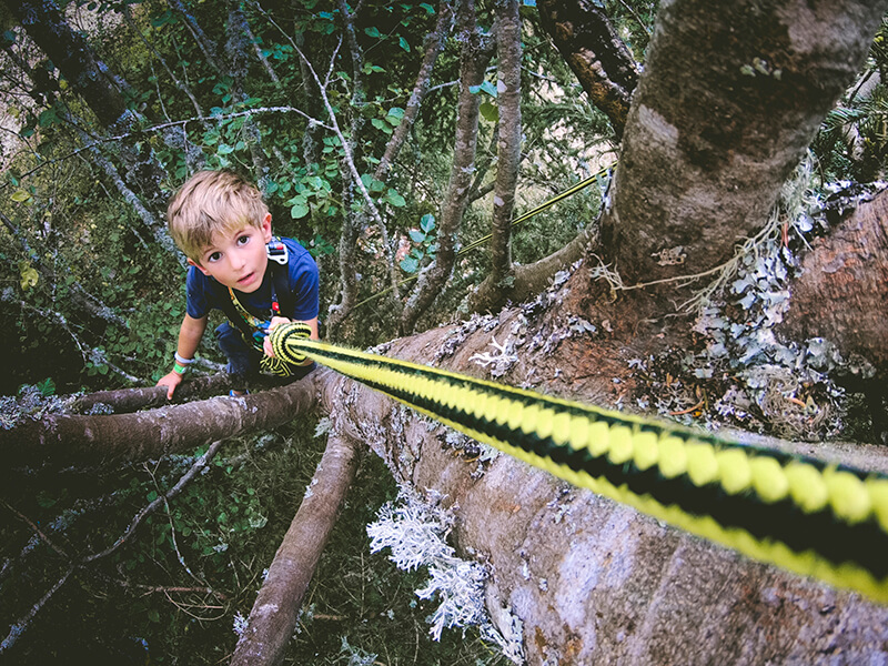 Enfant grimpant dans un arbre à l'aide d'une corde.