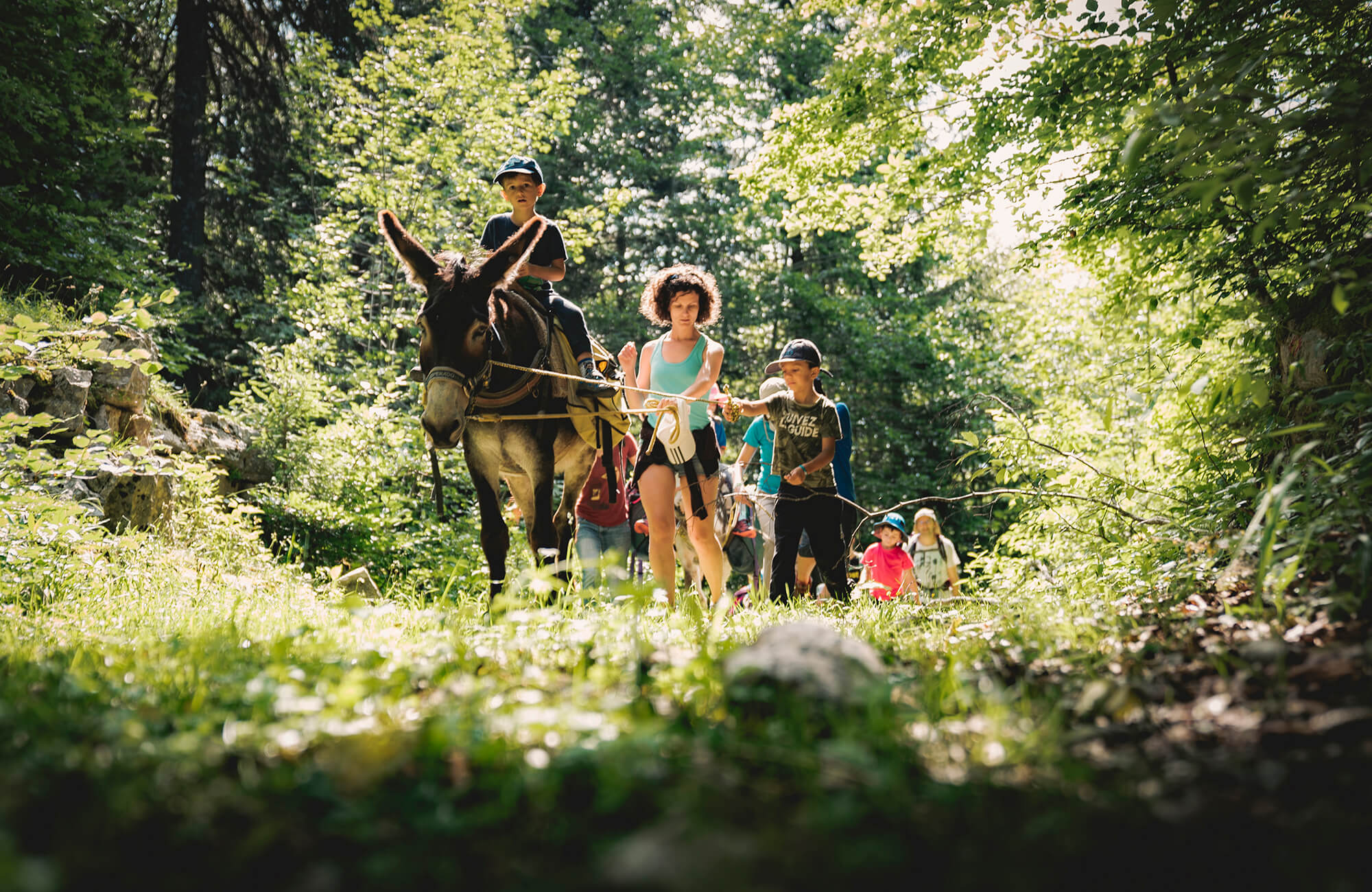 Famille se promenant avec un âne dans la forêt.