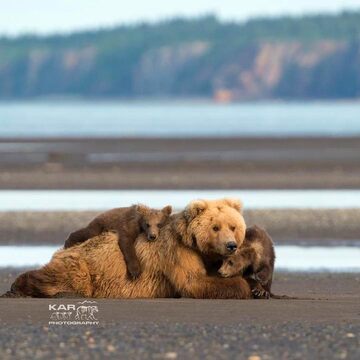 Prêts pour le week-end 🐻 ? 

Ici ce fut une semaine intense 😵, et on est prêts à plonger dans ce week-end pour se retrouver et passer du temps dehors 🌲. 
Mais vous êtes déjà nombreux à avoir pris vos places pour les Festivals, et ça, ça donne la pêche et le smile 😊. 
Quel est votre programme ? Racontez-nous en commentaire !

📸 @karphotography
