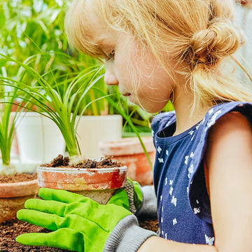 Demain, c'est mercredi ! Et si vous faisiez du jardinage avec vos enfants ? 🌱

Voici quelques idées pour les motiver à partager cette activité avec vous :
- Prendre une grande jardinière et disposez des graines de sorte à dessiner une forme
- Récupérer les graines de vos légumes lorsque vous les cuisinez puis les replanter pour des légumes à l'infini
- Customiser des pots en terre cuite grâce à de la peinture ou des feutres type Posca
- Gratter la terre avec des petits outils et arracher les mauvaises herbes (ça les occupe et ça vous enlève du travail 😉)
- Et si vous n'avez aucun outil de jardinage, vous pouvez opter pour nos kits de plantation

Alors, qui va jardiner en famille demain ? 👩‍🌾

👉 Retrouvez tous les outils, les équipements et les kits de jardinage sur notre site (lien en bio)

#barouderenfamille #outdoorkids #outdoorfamily #mercredikids