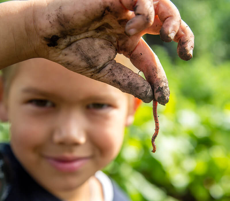 Jardinage_2022_800x700px Overlay