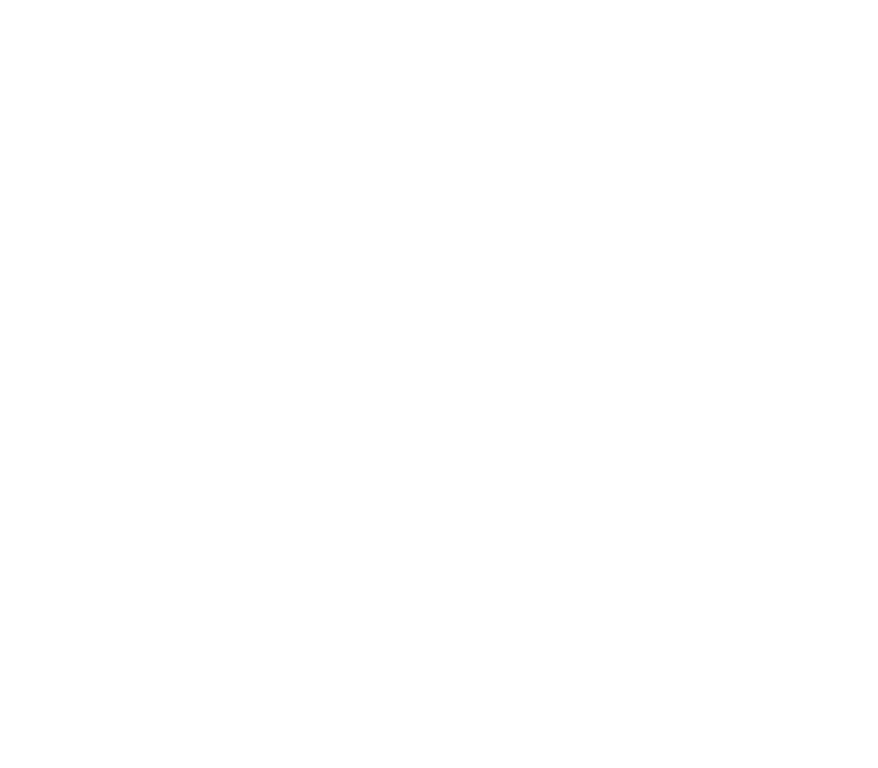 Observation_Noel2023_800x700px-Bois-Overlay