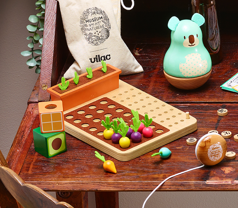 Observation_Noel2023_800x700px-Bois