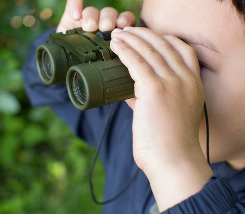 Observation_Noel2023_800x700px-Observation